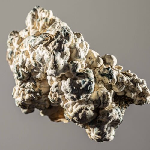 PolkaDot_Veg_June2024_Enigma-092-Edit