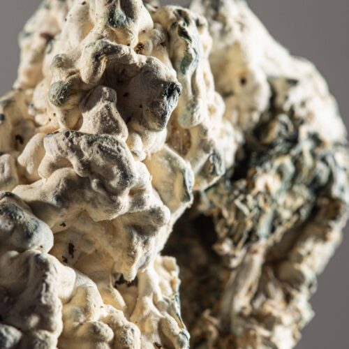 PolkaDot_Veg_June2024_Enigma-196-Edit